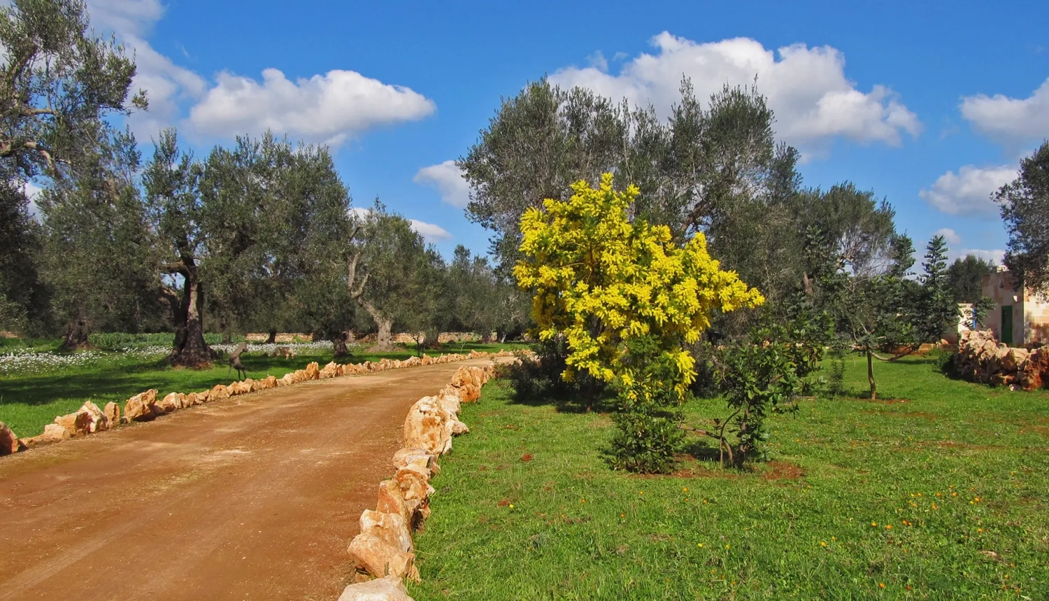 Geanide - Azienda Agricola in Puglia, Manduria, TA